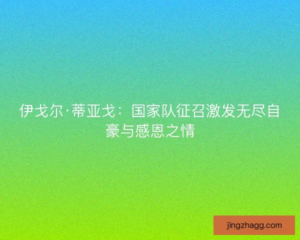 伊戈尔·蒂亚戈:国家队征召激发无尽自豪与感恩之情 伊戈尔·蒂亚戈:国家队征召激发无尽自豪与感恩之情